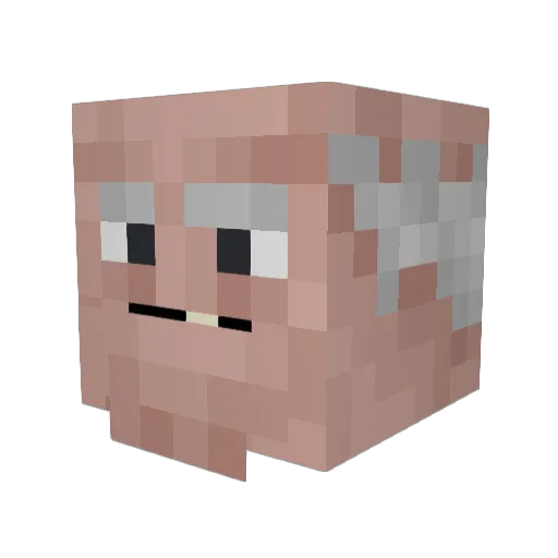 Schafer1 Minecraft avatar head, 3D render