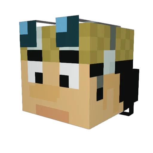 Schafermann Minecraft avatar head, 3D render