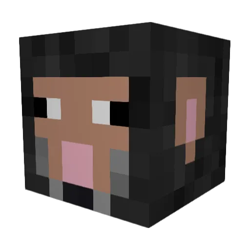 Schafii Minecraft avatar head, 3D render