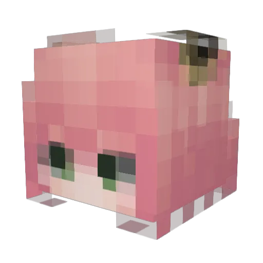 SchalL0816 Minecraft avatar head, 3D render