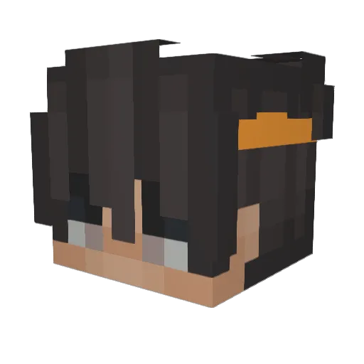 Schaniky Minecraft avatar head, 3D render