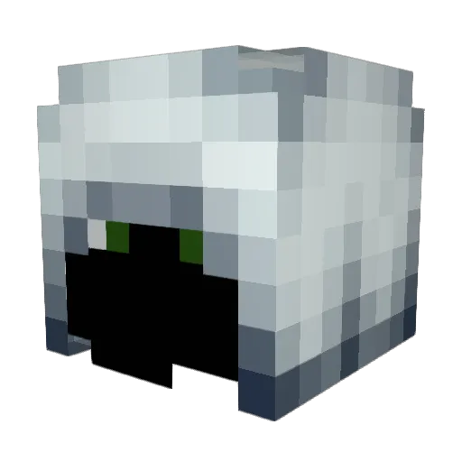 Schanti001 Minecraft avatar head, 3D render