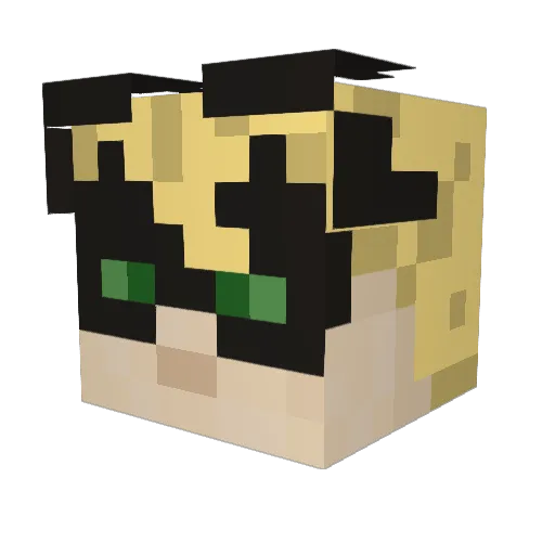 SchattenNoir Minecraft avatar head, 3D render