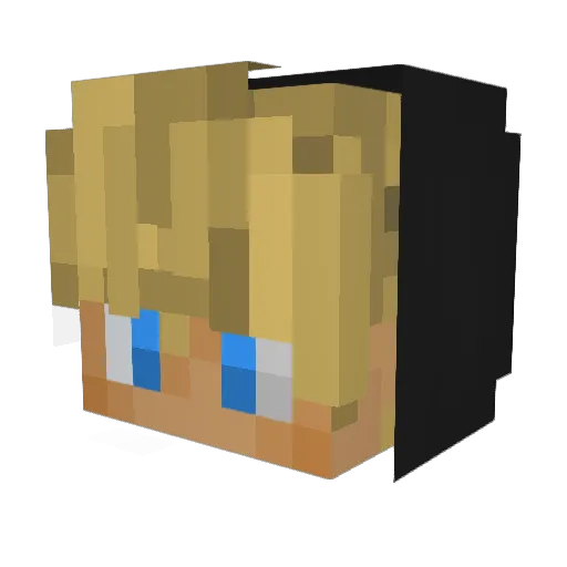 Schattennacho Minecraft avatar head, 3D render