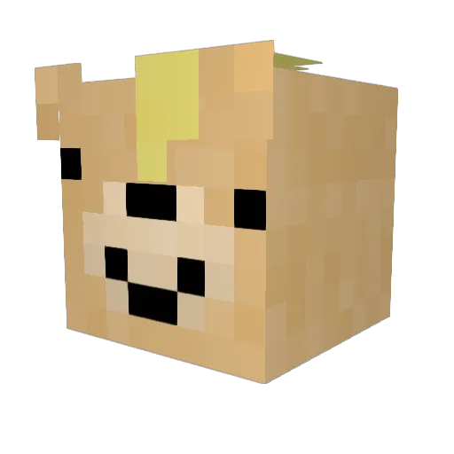 Schattnn Minecraft avatar head, 3D render