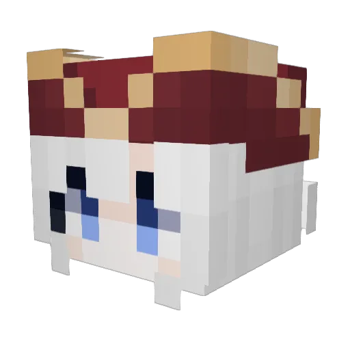 Schatzsuche Minecraft avatar head, 3D render