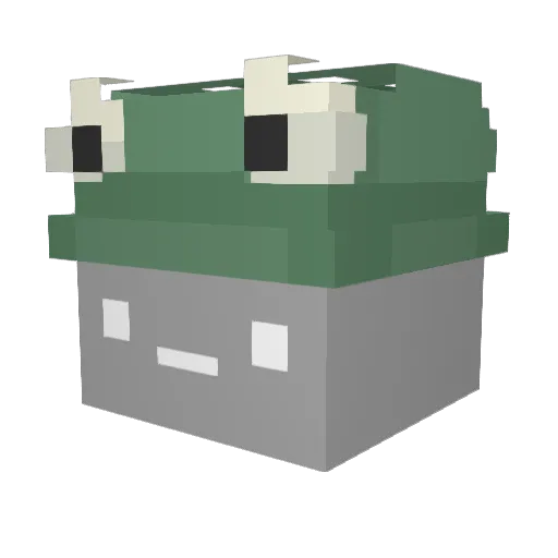 Schdoodmbopple Minecraft avatar head, 3D render