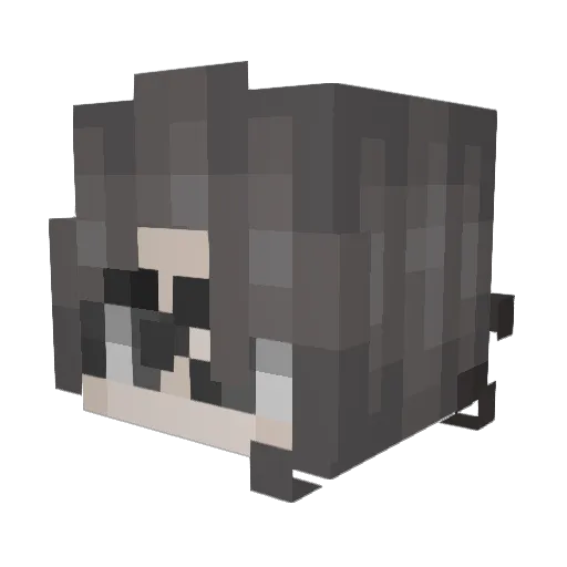 Schech47 Minecraft avatar head, 3D render
