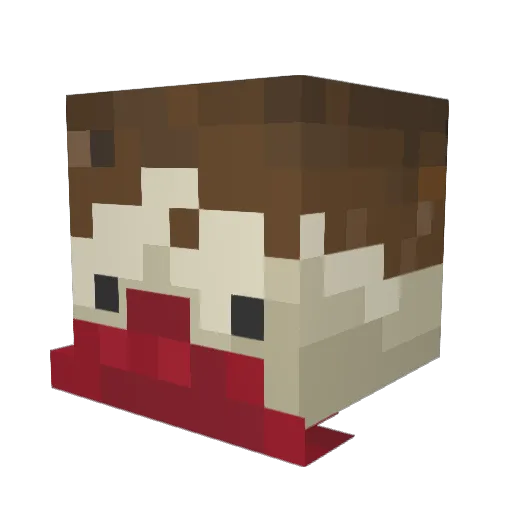 Schelbon Minecraft avatar head, 3D render