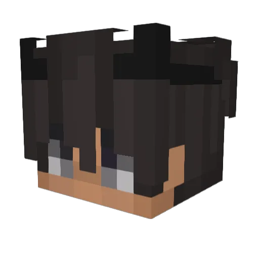 SchellenEpic Minecraft avatar head, 3D render