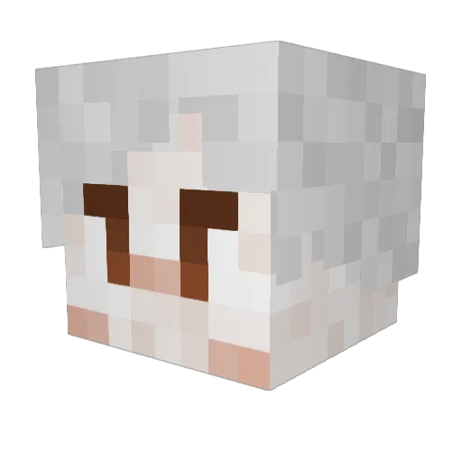 Schellnut Minecraft avatar head, 3D render