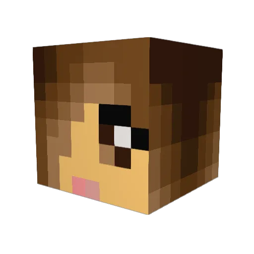 Schellza Minecraft avatar head, 3D render