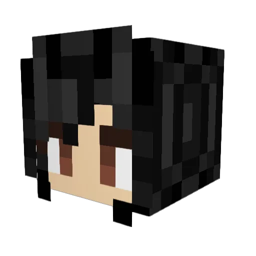 Schereis Minecraft avatar head, 3D render