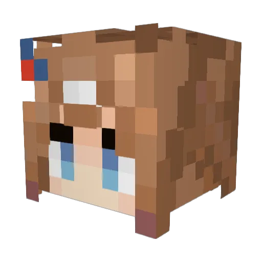 SchererJ Minecraft avatar head, 3D render
