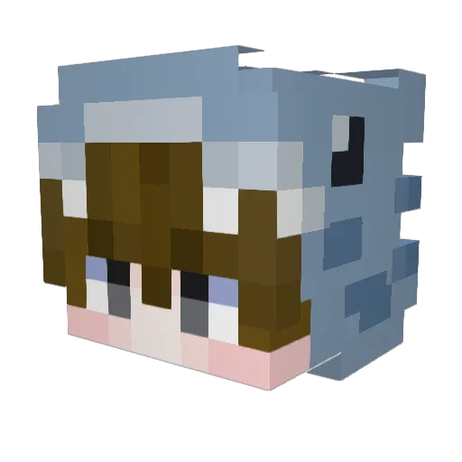 Schergi_TV Minecraft avatar head, 3D render