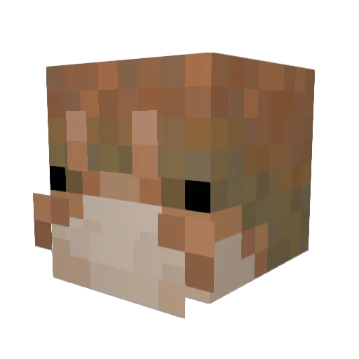 Schermungern Minecraft avatar head, 3D render