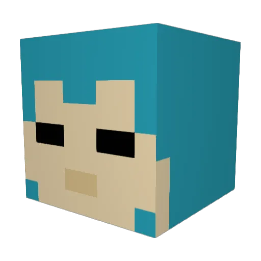 ScheveKapitein Minecraft avatar head, 3D render
