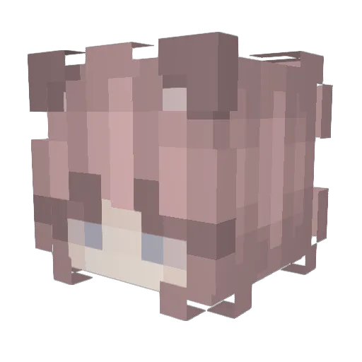 SchiieberFuchs Minecraft avatar head, 3D render