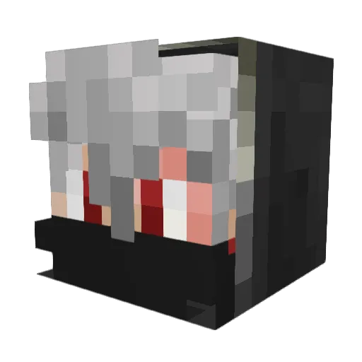 SchildFlieger Minecraft avatar head, 3D render