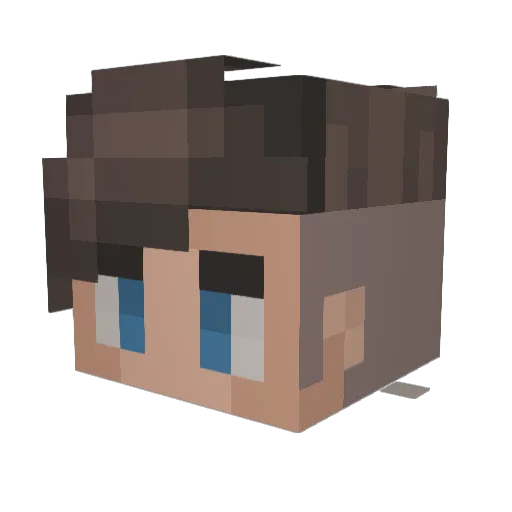 Schildkroetii Minecraft avatar head, 3D render