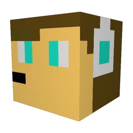 Schildo008 Minecraft avatar head, 3D render