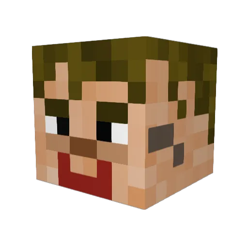 Schimmr Minecraft avatar head, 3D render