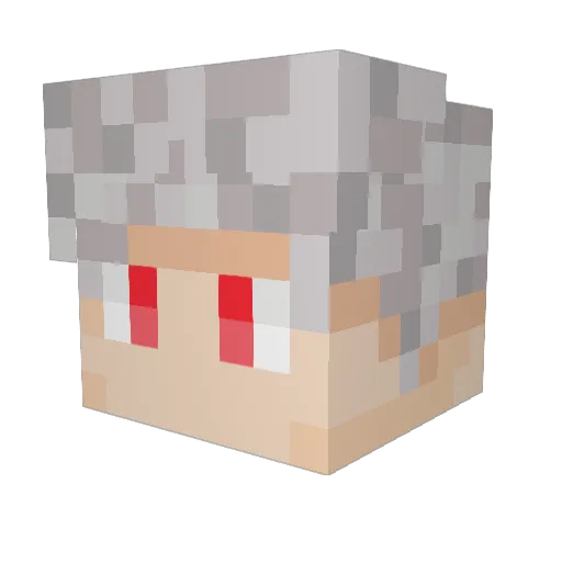 SchinderRenge Minecraft avatar head, 3D render
