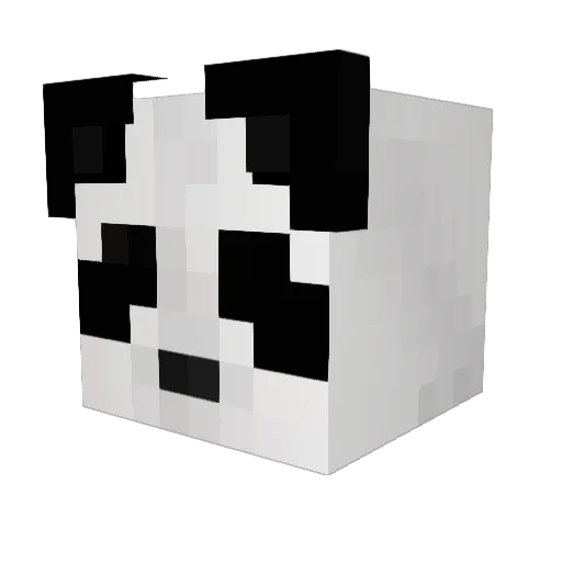 Schizi666 Minecraft avatar head, 3D render