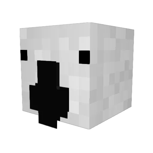 Schizophrenicbrd Minecraft avatar head, 3D render