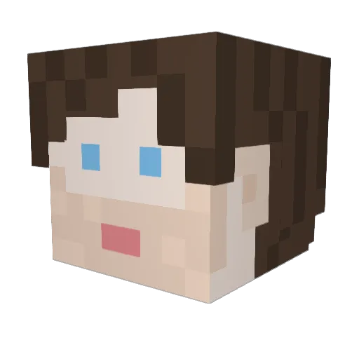 Schlabberlook Minecraft avatar head, 3D render