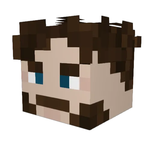 Schlabbersack Minecraft avatar head, 3D render