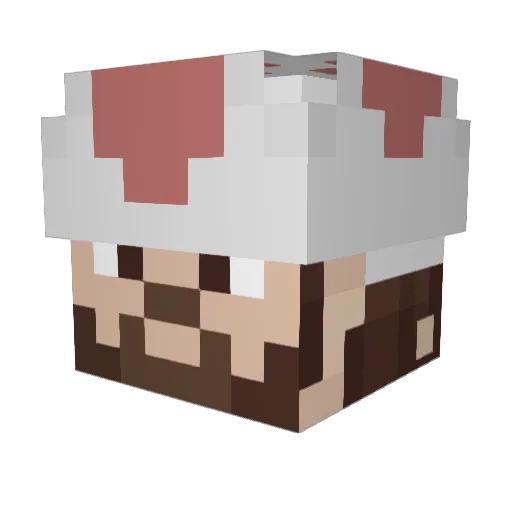 Schlaccc Minecraft avatar head, 3D render