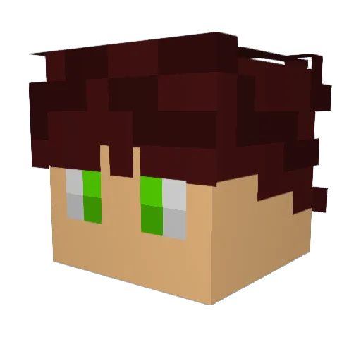Schlankeneder Minecraft avatar head, 3D render
