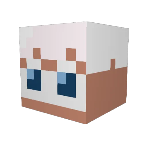 Schlaumaia Minecraft avatar head, 3D render