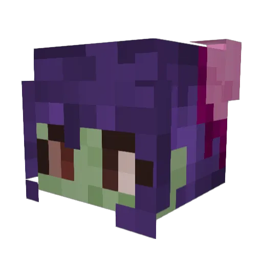 Schlea1 Minecraft avatar head, 3D render
