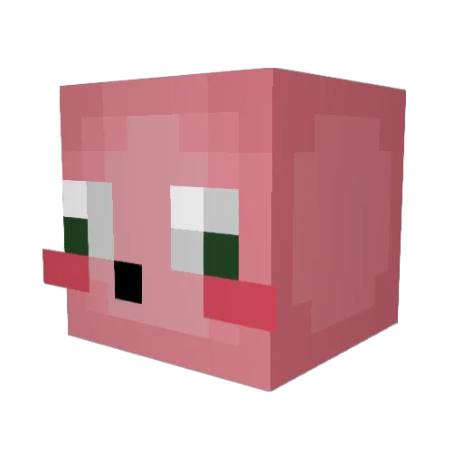 Schleens Minecraft avatar head, 3D render