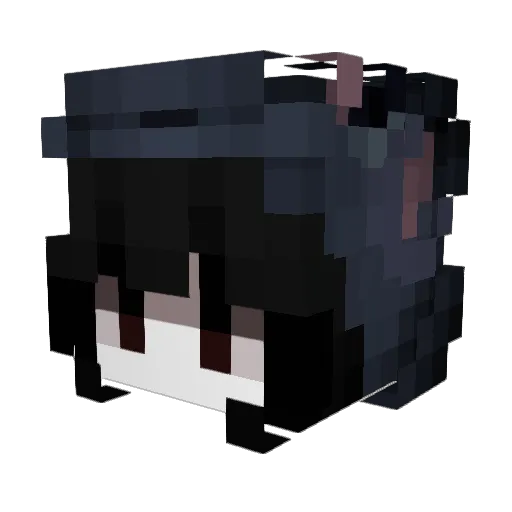 SchlenaTheDuck Minecraft avatar head, 3D render