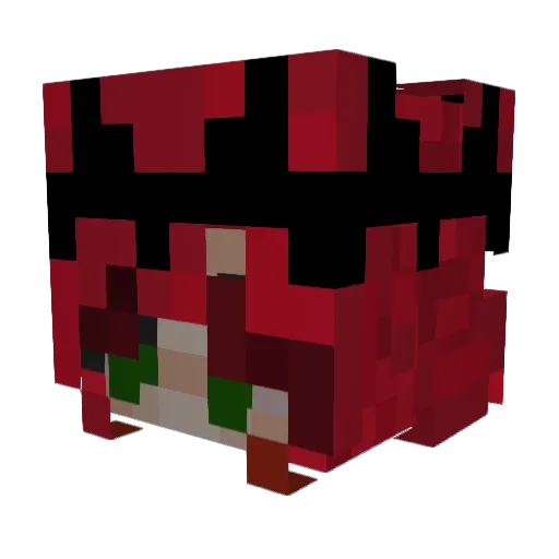 Schlenileni Minecraft avatar head, 3D render