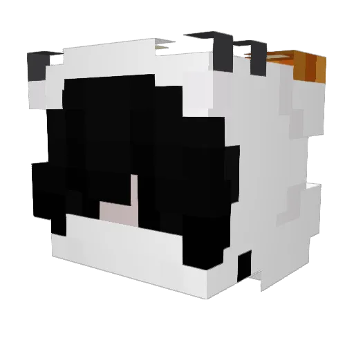 Schlermm Minecraft avatar head, 3D render