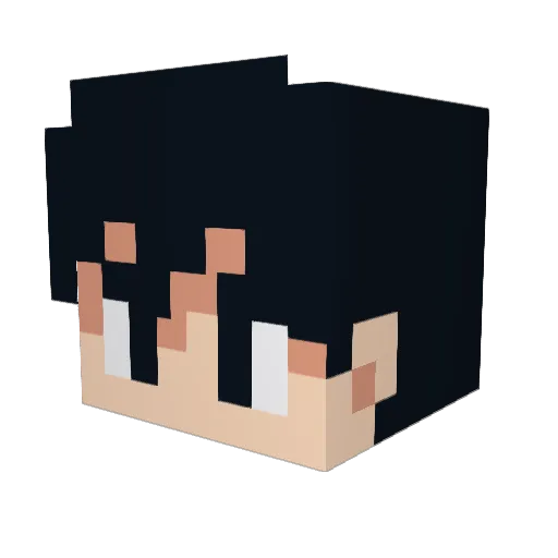 Schliingeel Minecraft avatar head, 3D render