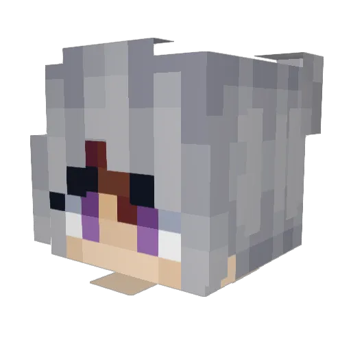 SchlueppiOfDoom Minecraft avatar head, 3D render