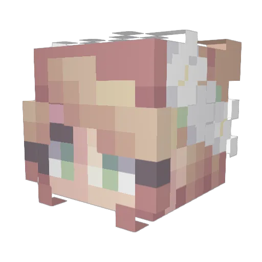 Schlumpfine26 Minecraft avatar head, 3D render