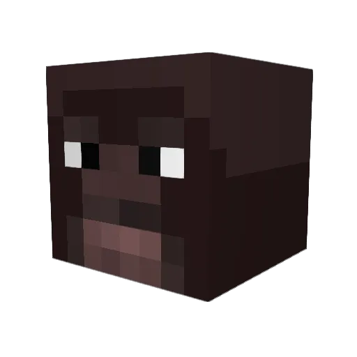 Schluwer Minecraft avatar head, 3D render