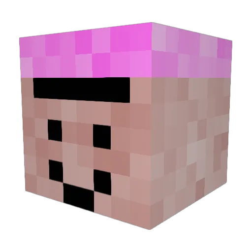 Schmackofatz1337 Minecraft avatar head, 3D render