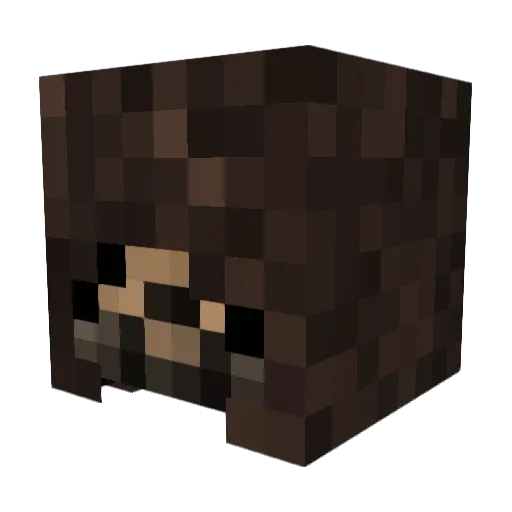 Schmant24 Minecraft avatar head, 3D render