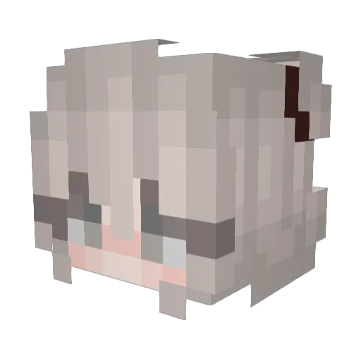 Schmax Minecraft avatar head, 3D render