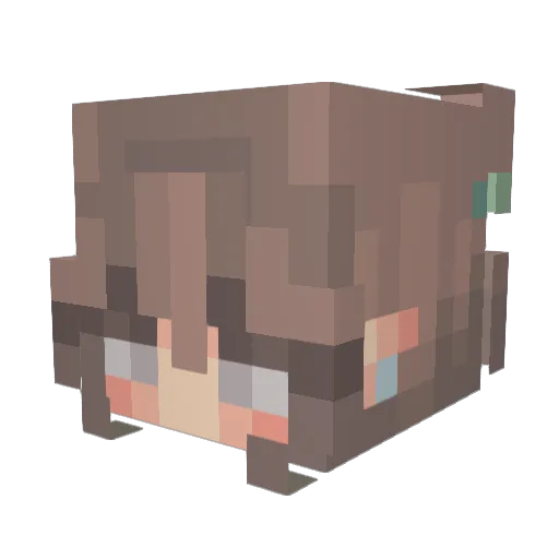 Schmelin0 Minecraft avatar head, 3D render