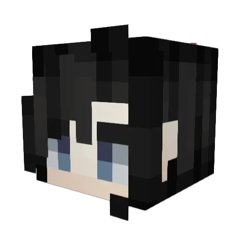Schmerl Minecraft avatar head, 3D render