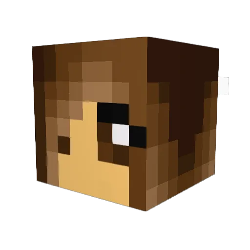 Schmitt__Amy Minecraft avatar head, 3D render