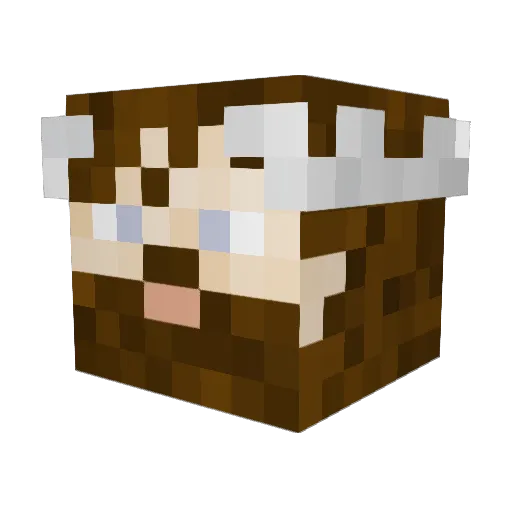 Schmittay Minecraft avatar head, 3D render